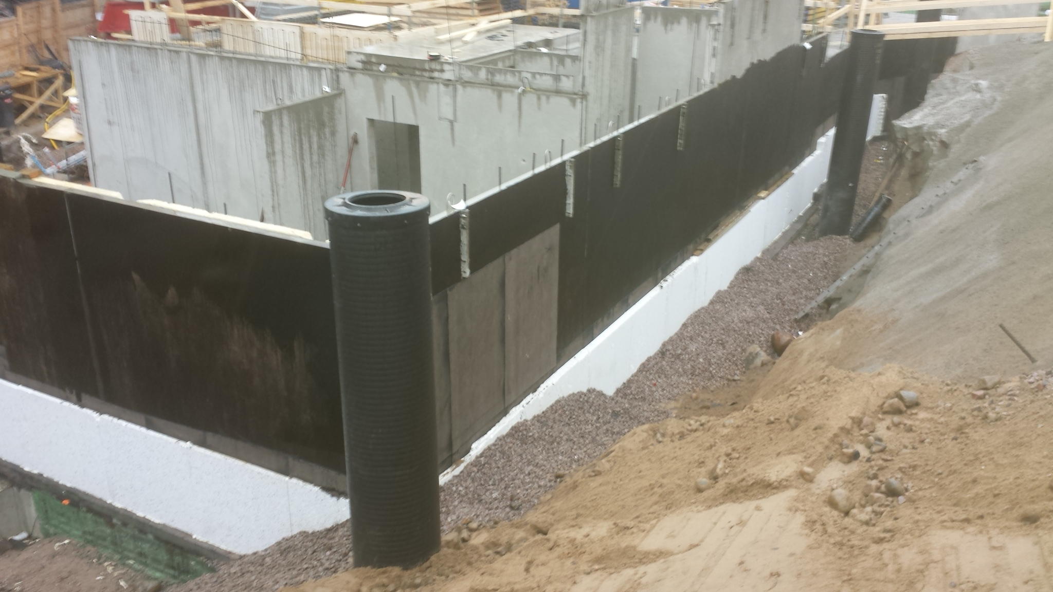 ¨µÂÊ